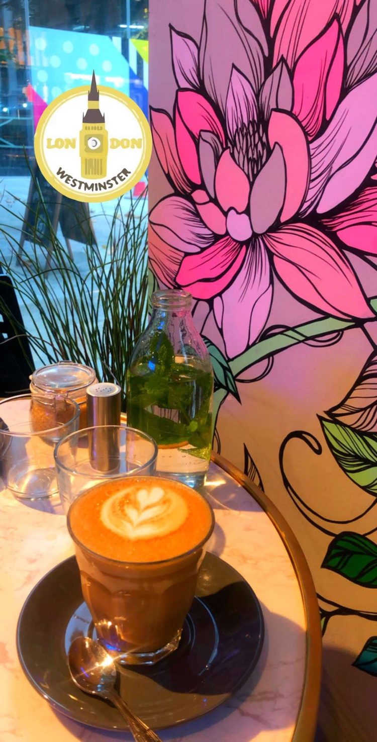 A photo of Half Cup