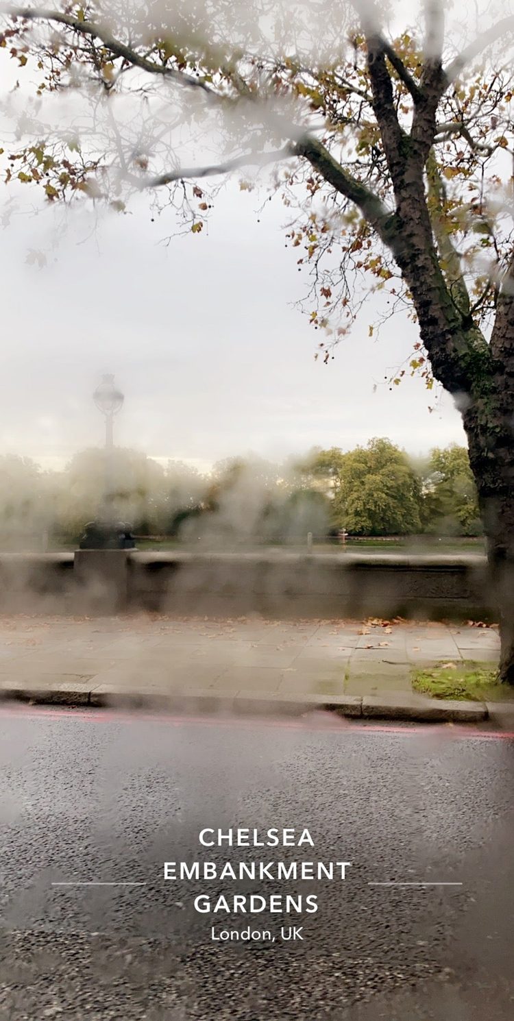A photo of Chelsea Embankment Gardens