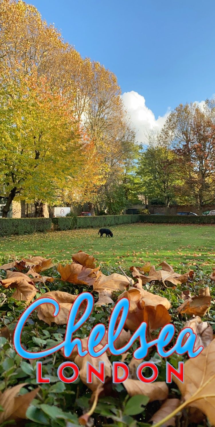 A photo of Chelsea Embankment Gardens