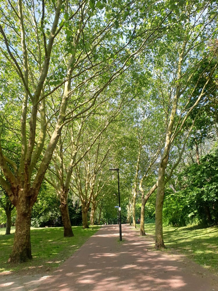 A photo of Wapping Woods