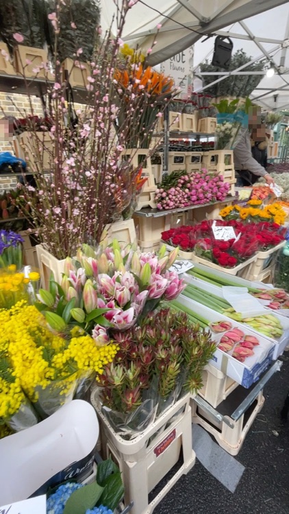 A photo of Columbia Road Shops & Flower Market