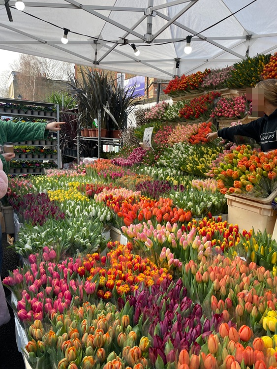 A photo of Columbia Road Shops & Flower Market