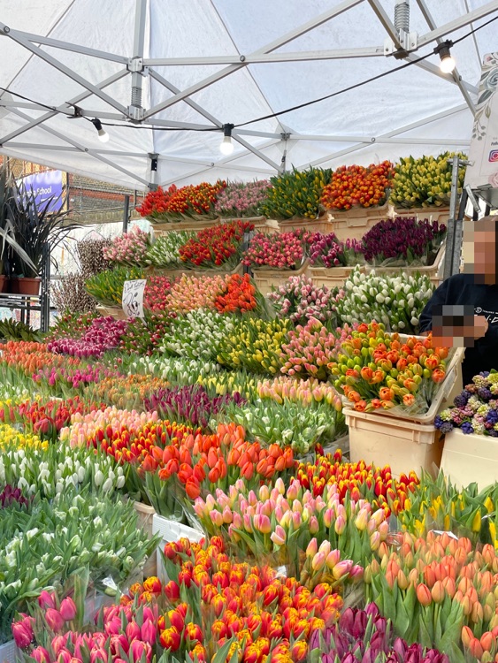 A photo of Columbia Road Shops & Flower Market