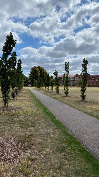 A photo of Haggerston Park