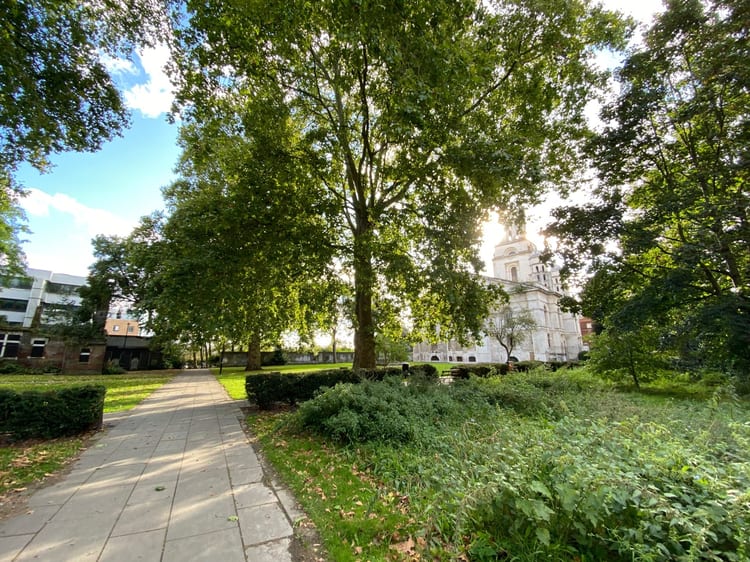 A photo of St George's Gardens