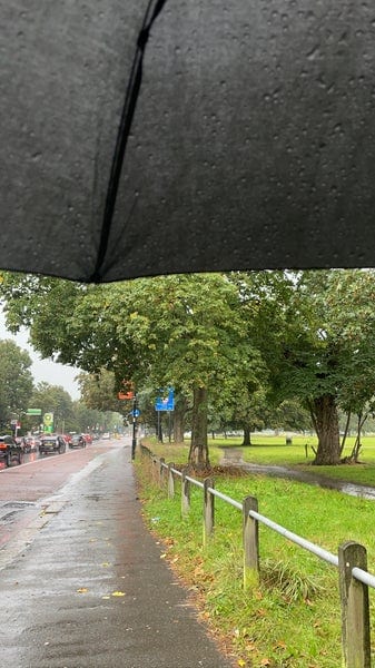 A photo of Clapham Common West Side