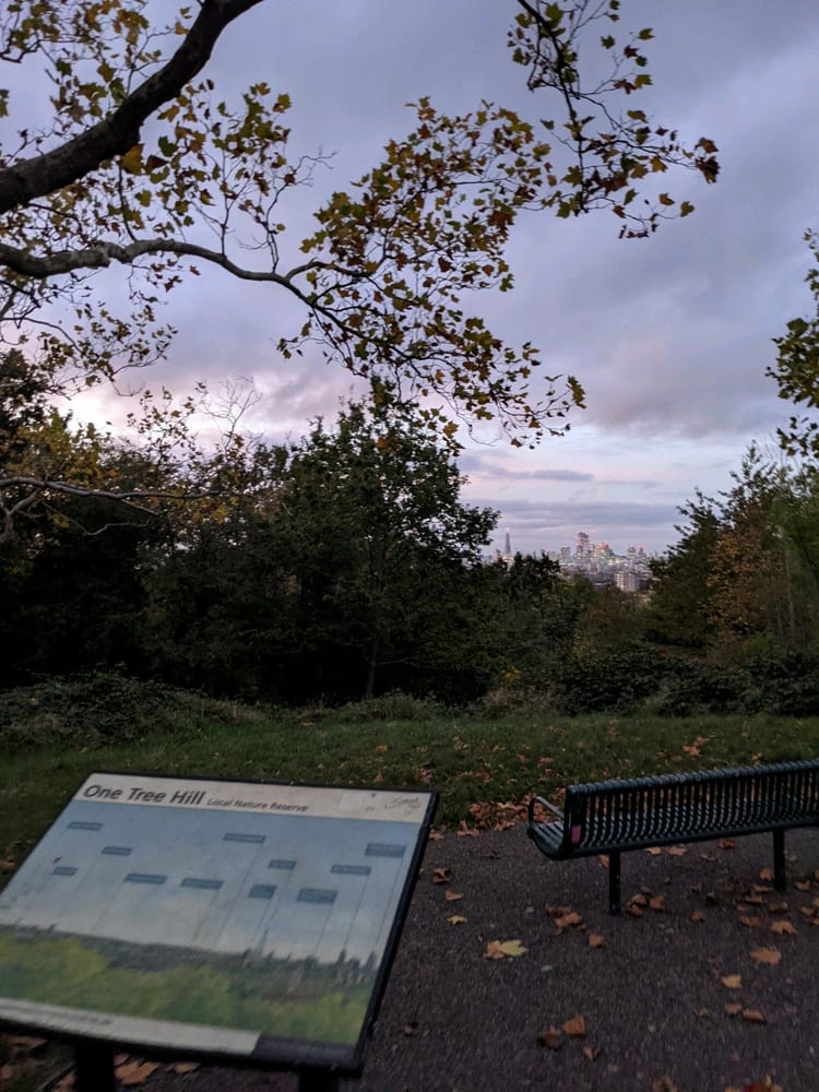 A photo of One Tree Hill