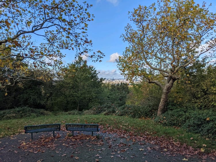 A photo of One Tree Hill