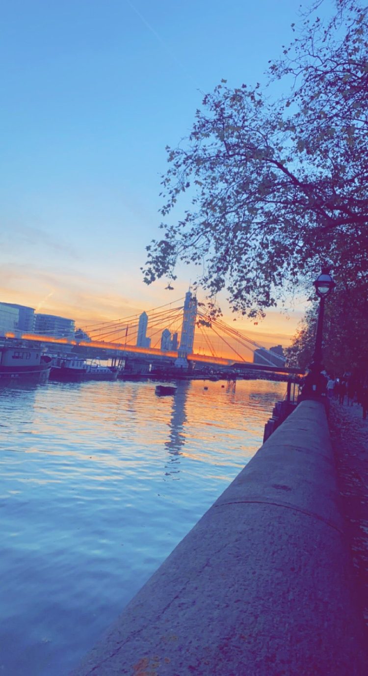 A photo of Chelsea Embankment Gardens