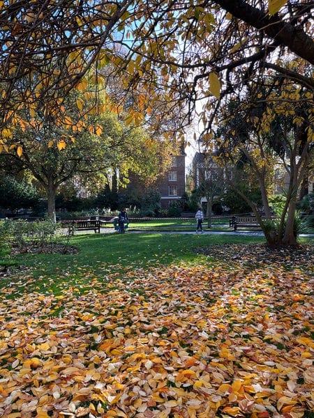 A photo of St Luke's Gardens