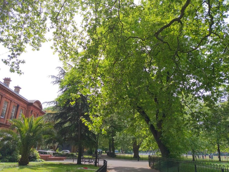 A photo of Bethnal Green Gardens