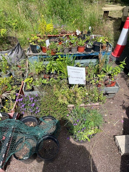 A photo of St Mary's Secret Garden