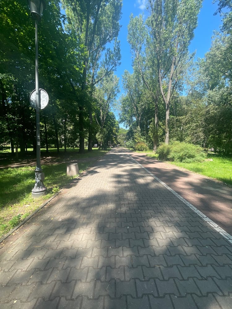 A photo of Park na Książęcem