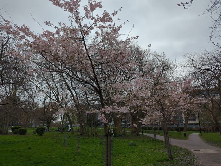 A photo of Meath Gardens