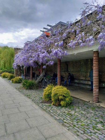 A photo of Haggerston Park