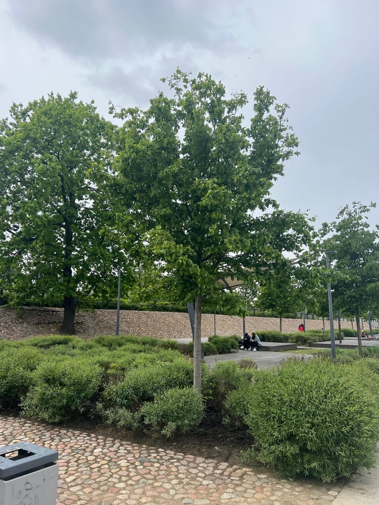 A photo of Park Odkrywców