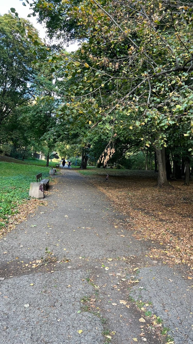 A photo of Park na Książęcem