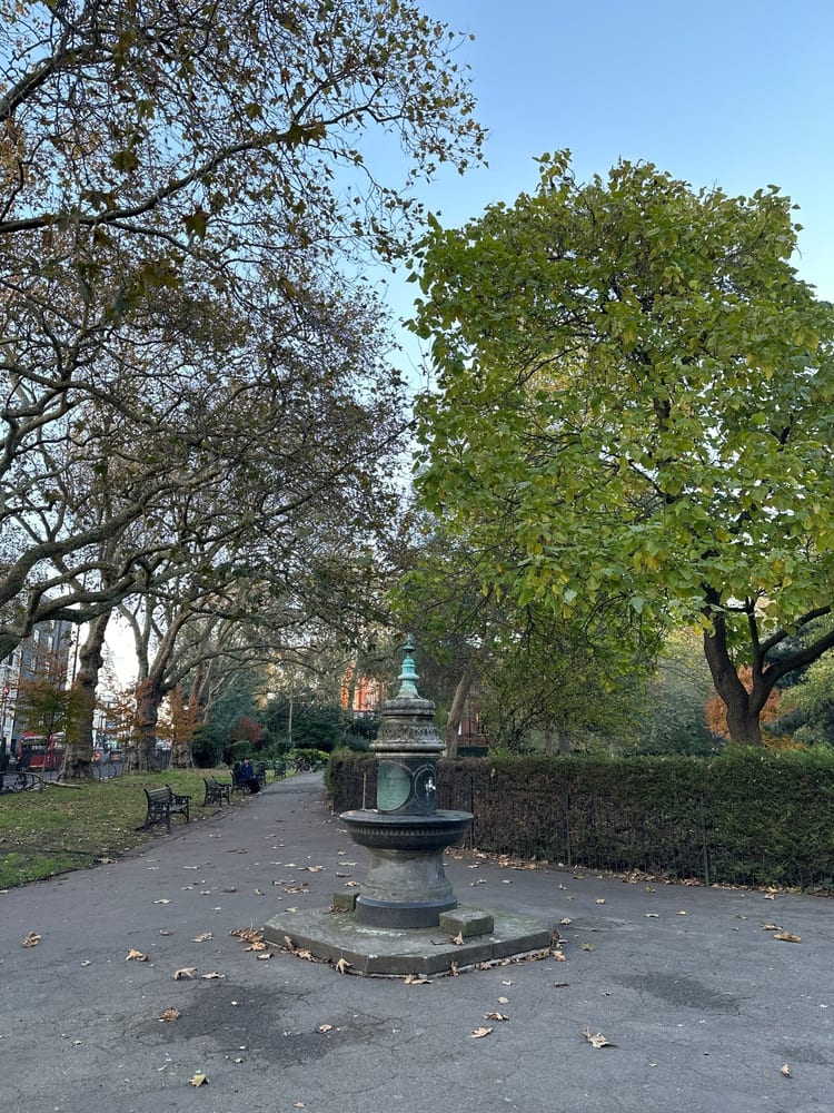 A photo of Museum Gardens