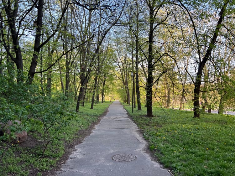 A photo of Park na Książęcem