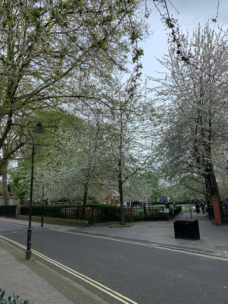 A photo of Sainsbury's Local