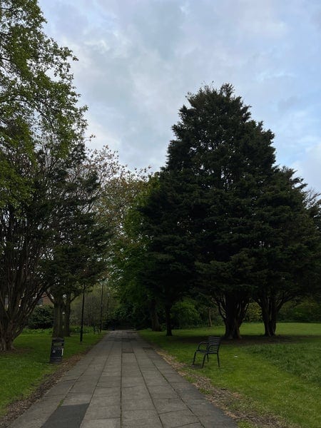 A photo of Wapping Woods