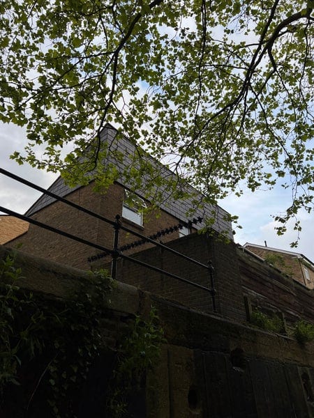 A photo of Wapping Woods