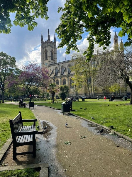 A photo of St Luke's Gardens