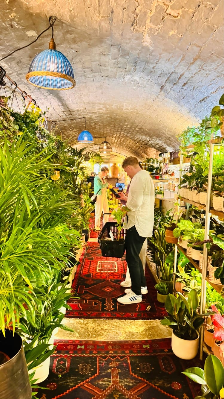 A photo of The Nunhead Gardener