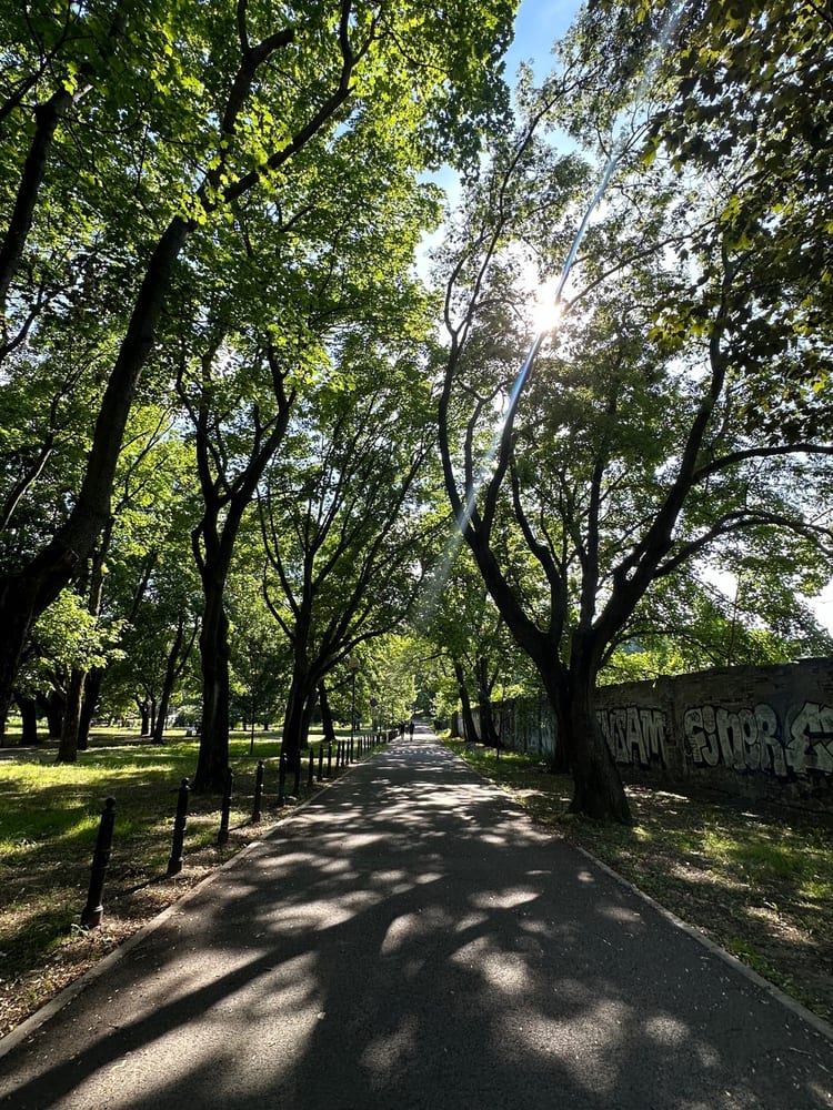 A photo of Park Karola Beyera