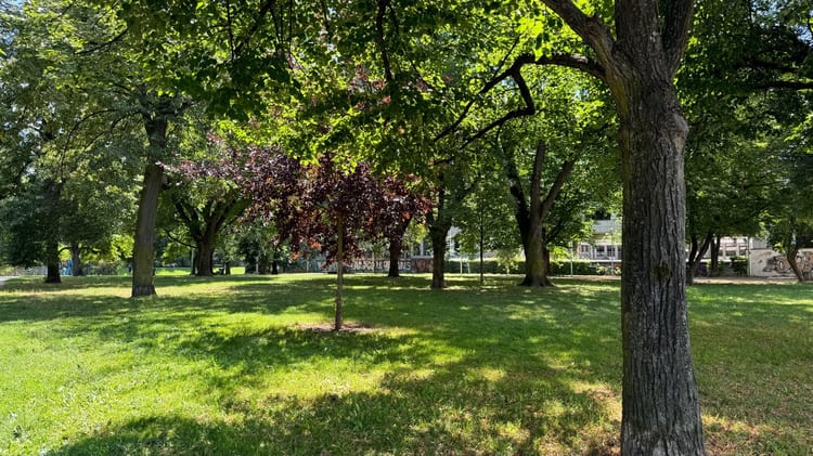 A photo of Skwer Bohdana Wodiczko