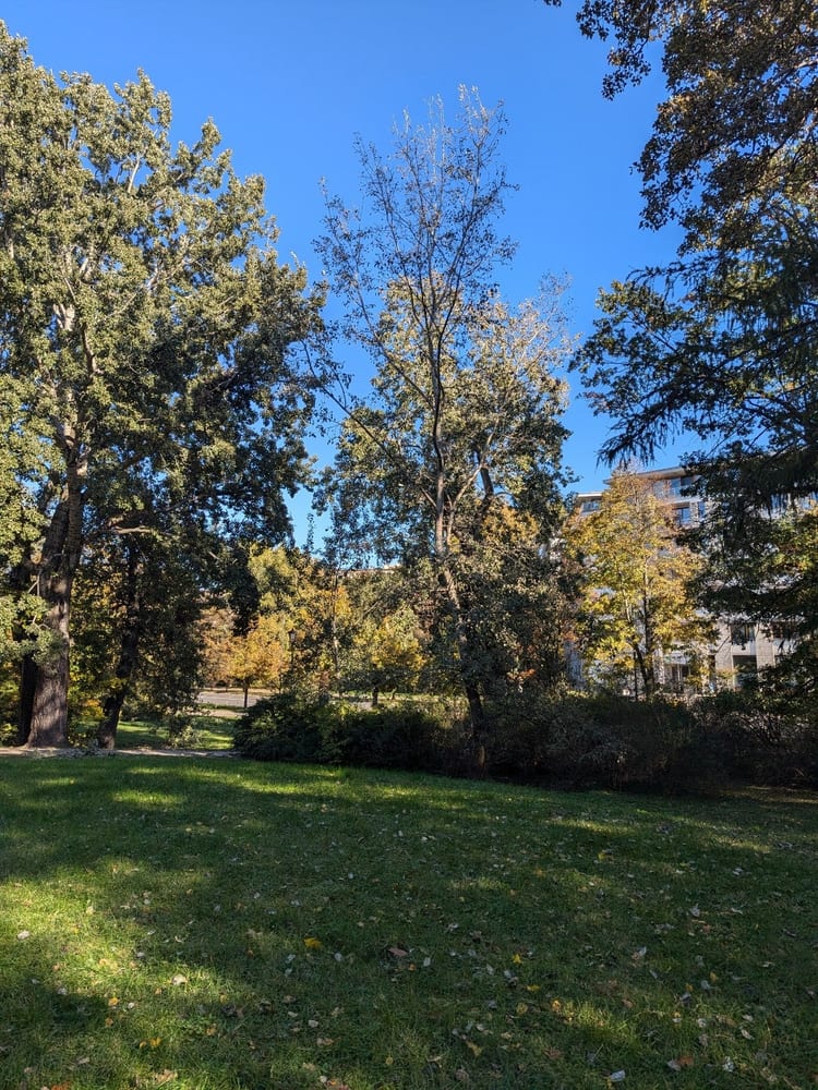 A photo of Park na Książęcem