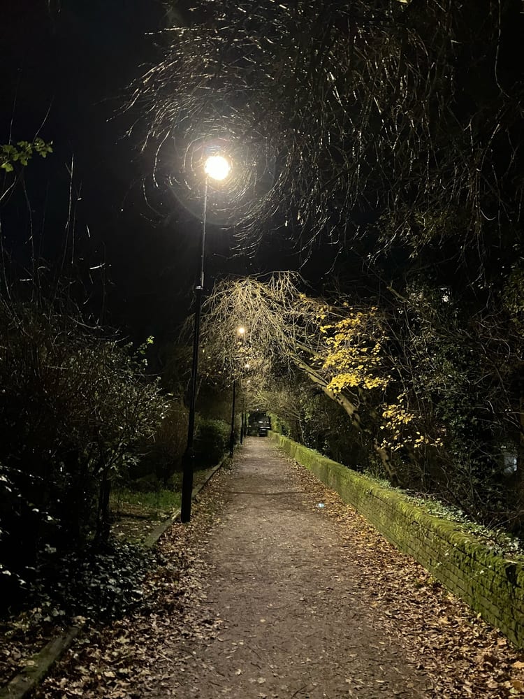 A photo of Wapping Woods