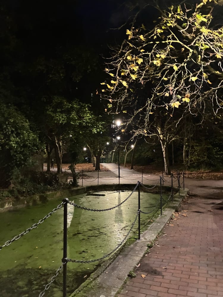 A photo of Wapping Woods