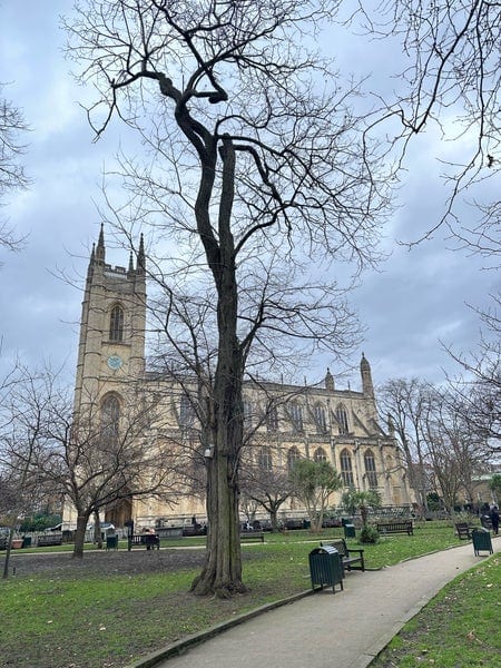 A photo of St Luke's Gardens