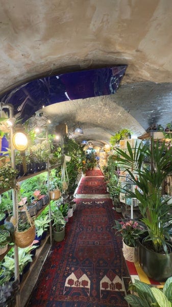 A photo of The Nunhead Gardener