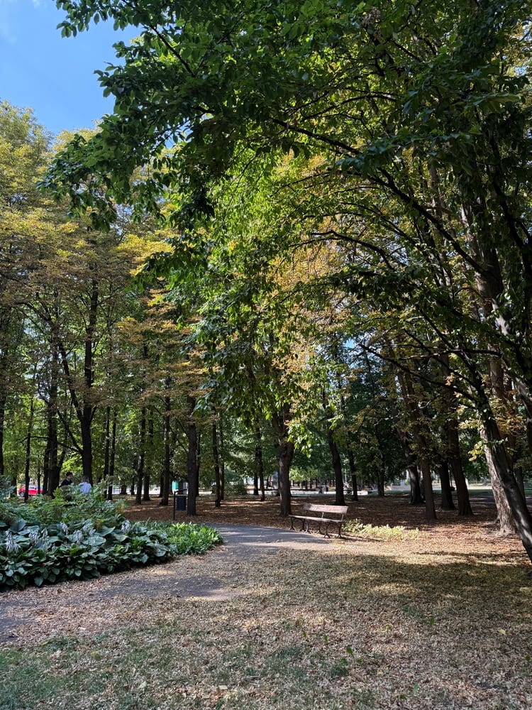 A photo of Park Marszałka Edwarda Rydza-Śmigłego