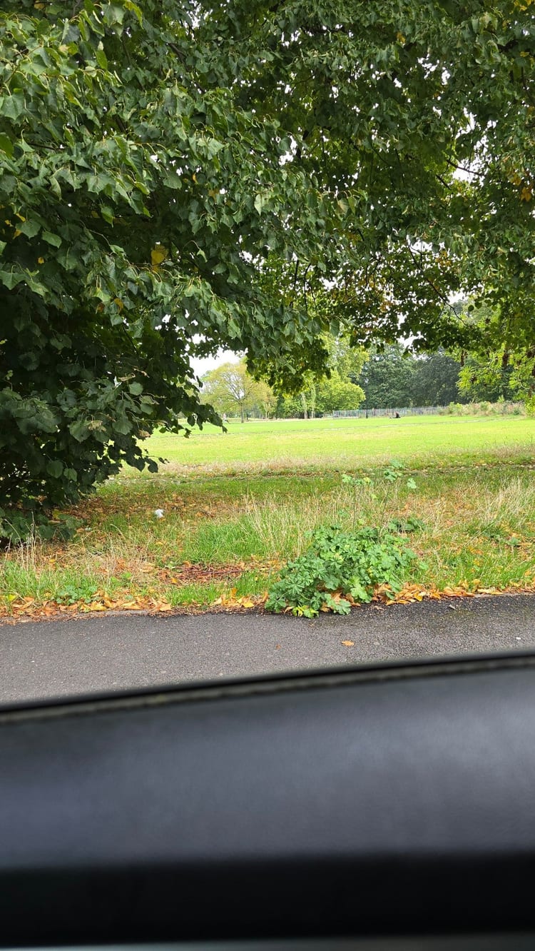A photo of Clapham Common West Side