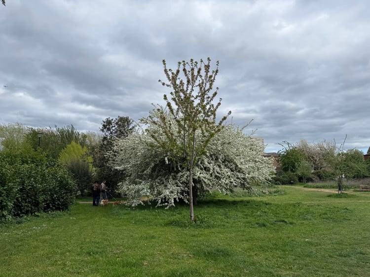 A photo of Ion Square Gardens