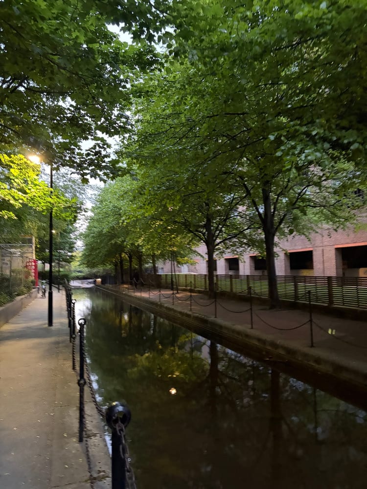 A photo of Wapping Woods