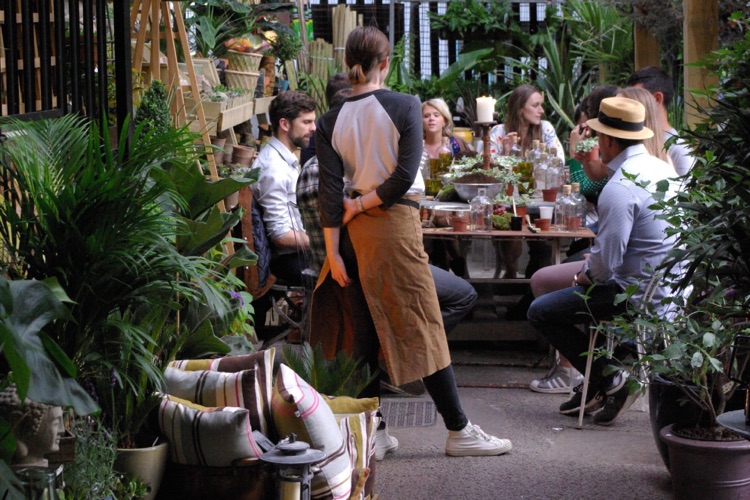 A photo of The Nunhead Gardener