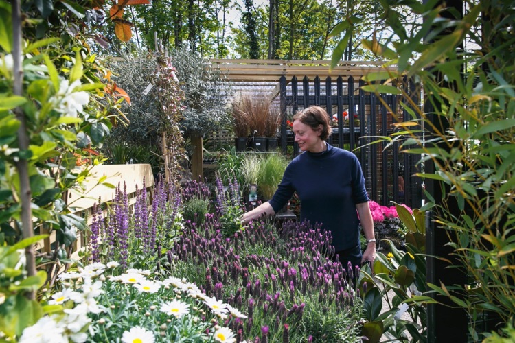 A photo of The Nunhead Gardener