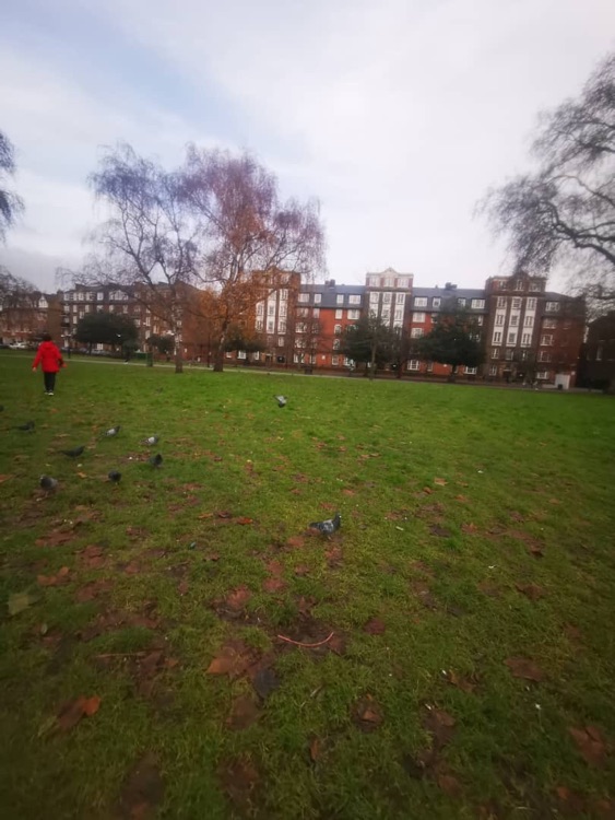 A photo of Camberwell Green