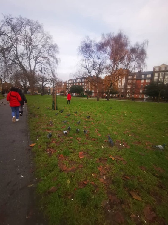 A photo of Camberwell Green