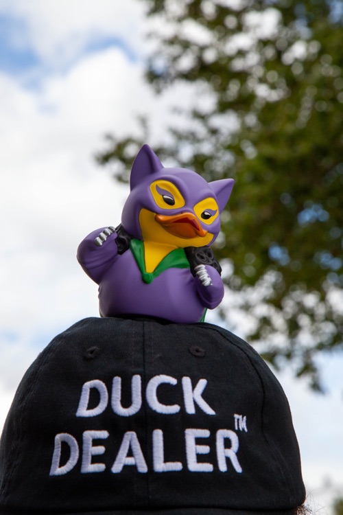 A photo of Duckworld