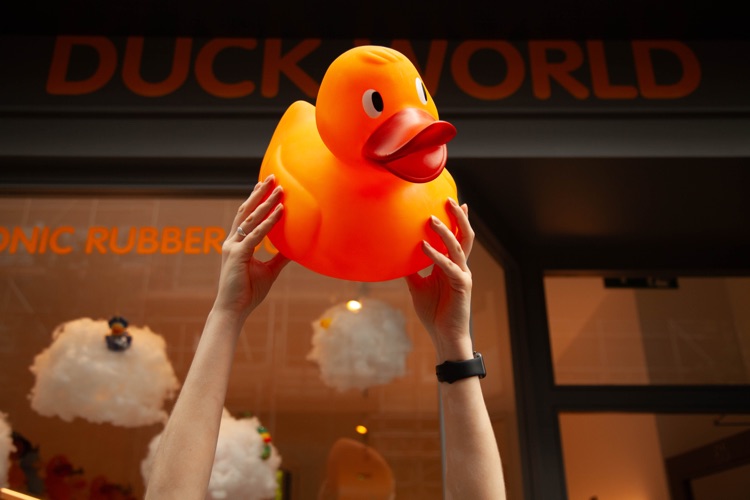 A photo of Duckworld