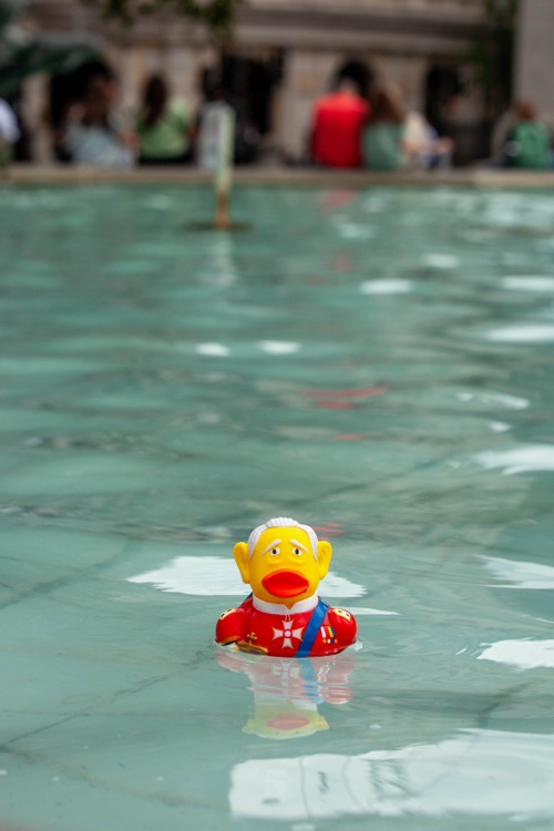 A photo of Duckworld