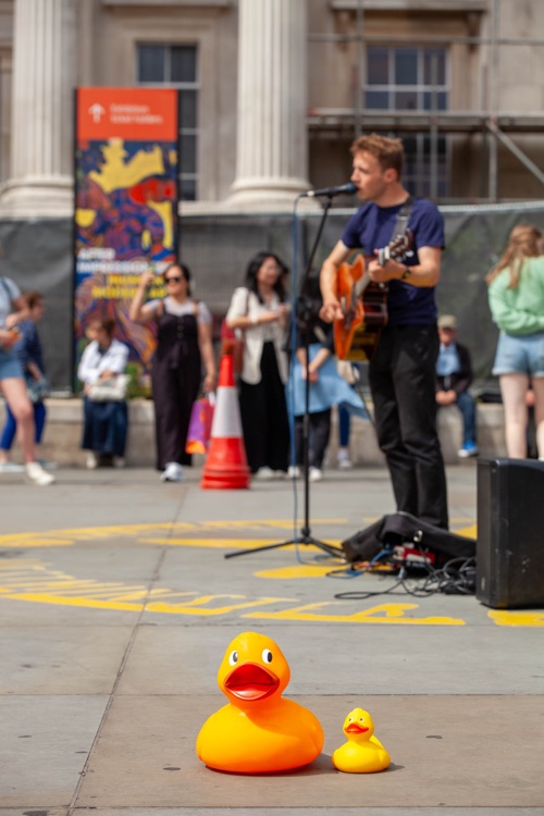 A photo of Duckworld