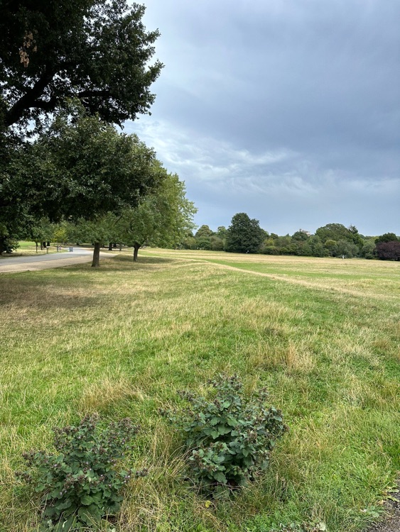 A photo of Dulwich Park