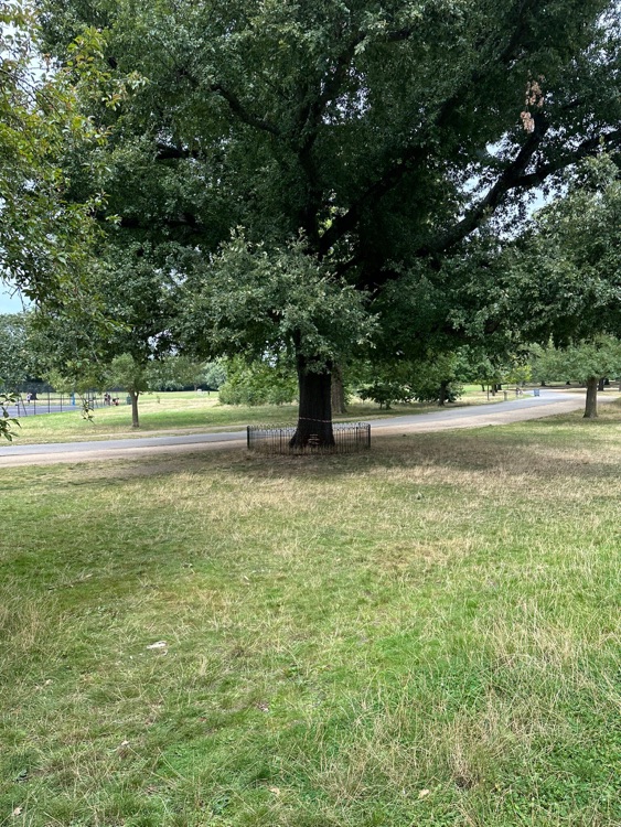 A photo of Dulwich Park