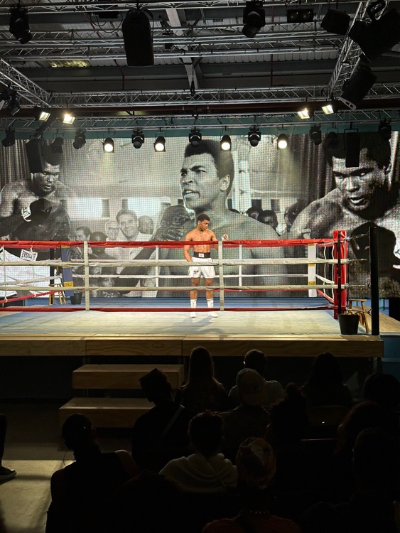 A photo of Rumble in the Jungle Rematch